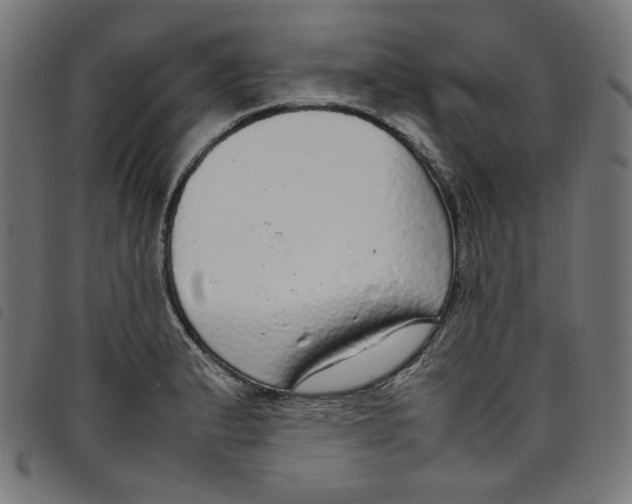 X0000098121183200804251445