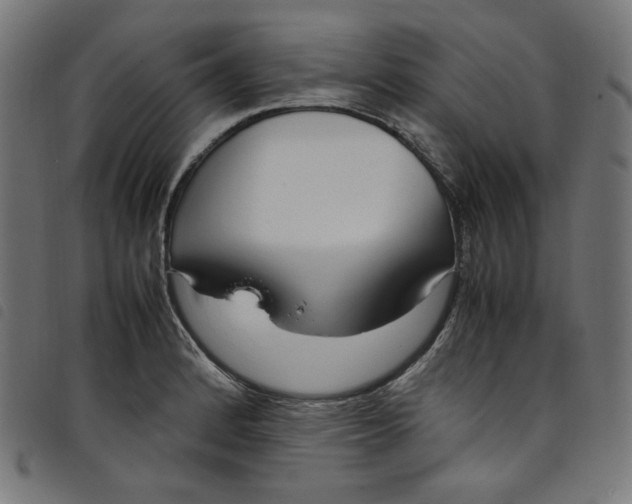 X0000098121184200804251445