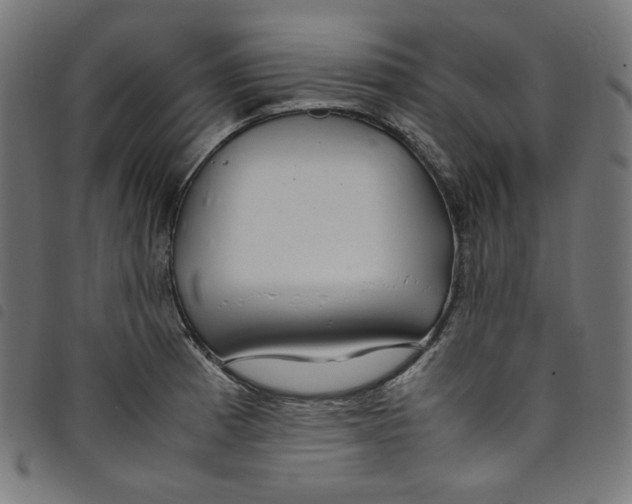 X0000098121185200804251445