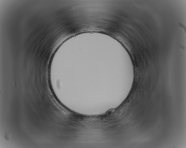 X0000098121187200804251444
