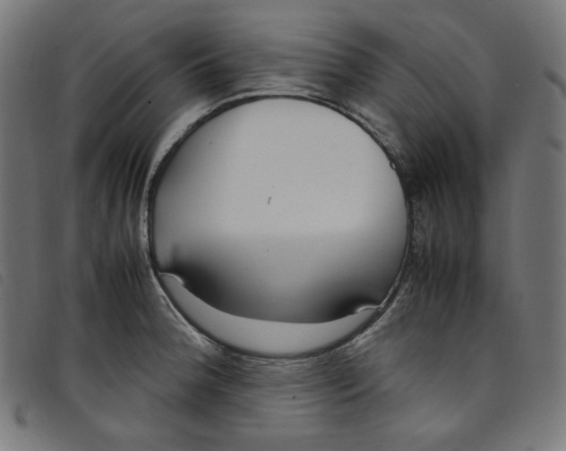 X0000098121188200804251444