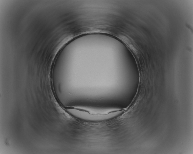 X0000098121189200804251444