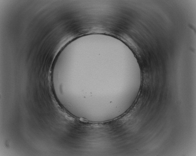 X0000098121190200804251444