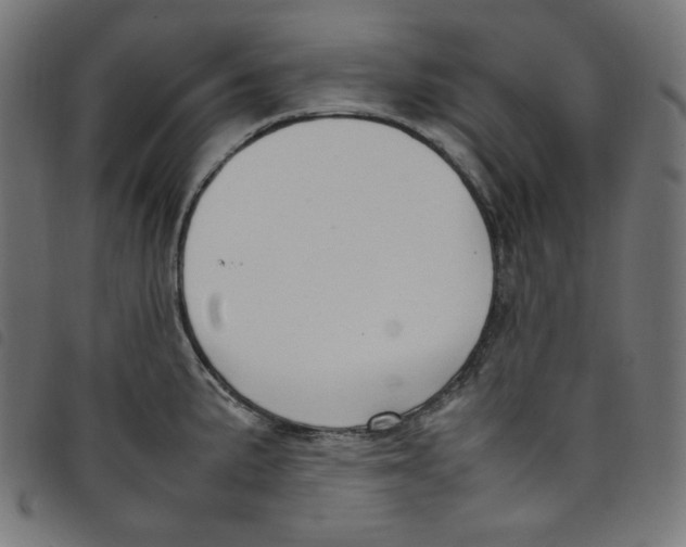 X0000098121191200804251444
