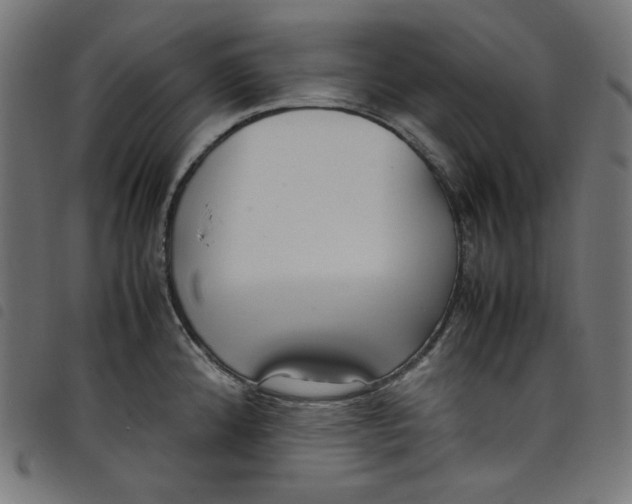 X0000098121192200804251444