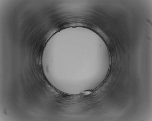 X0000098121193200804251444