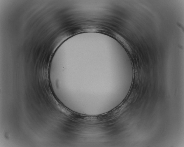 X0000098121194200804251444