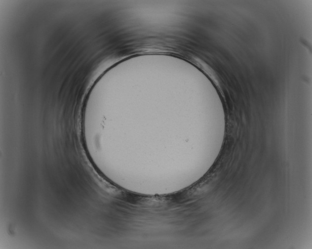X0000098121195200804251444