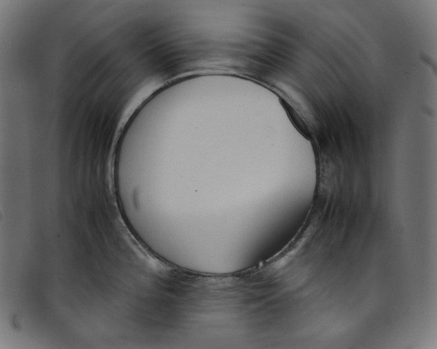 X0000098121196200804251444