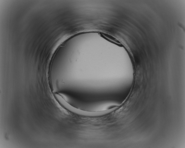X0000098121197200804251444