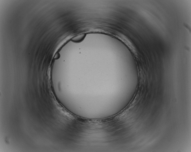 X0000098121198200804251444