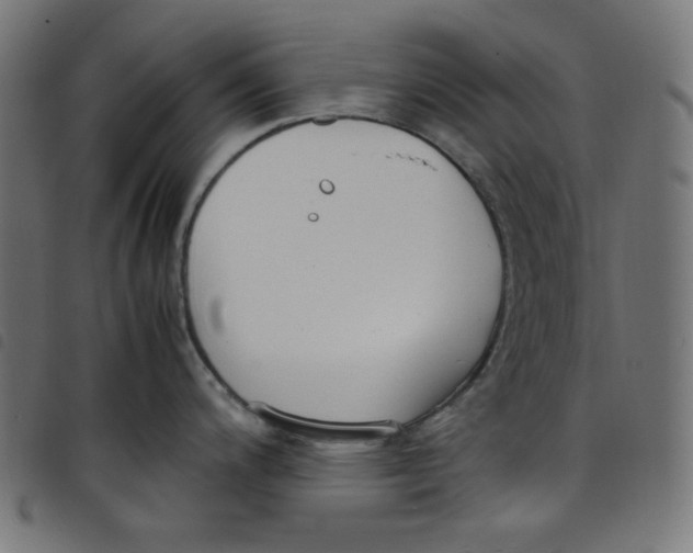 X0000098121200200804251444