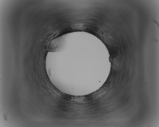 X0000098121201200804251444