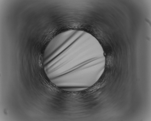 X0000098121202200804251444