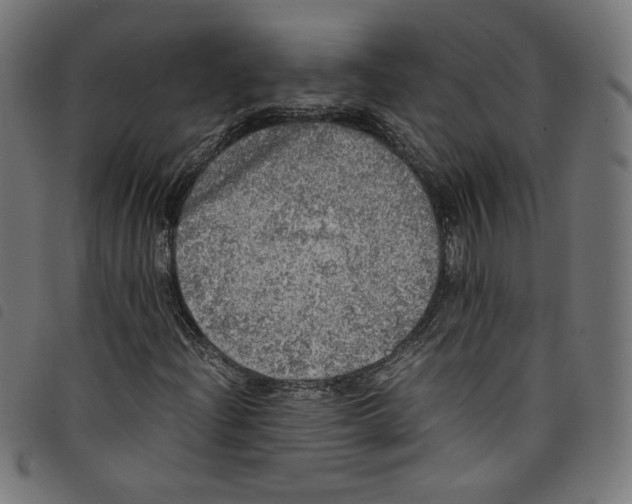 X0000098121204200804251444