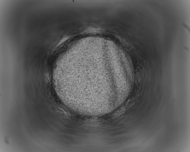 X0000098121206200804251444