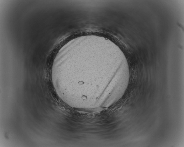 X0000098121207200804251444
