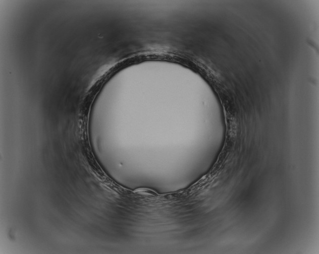 X0000098121208200804251444