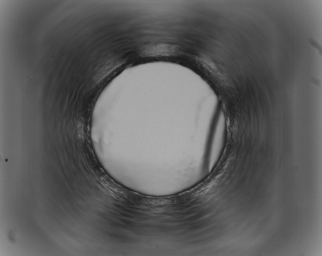 X0000098121209200804251444