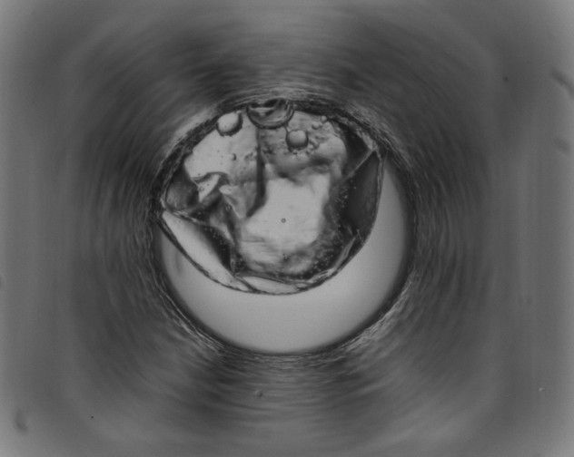 X0000098121210200804251444