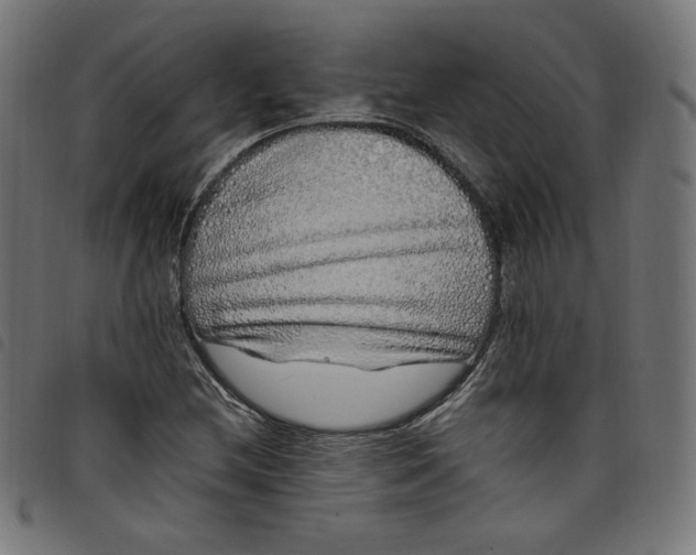 X0000098121212200804251444