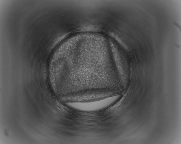 X0000098121213200804251444
