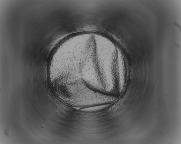 X0000098121214200804251444