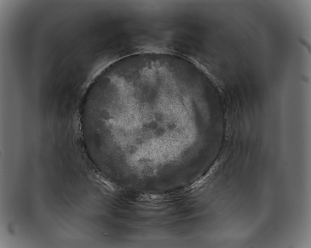 X0000098121215200804251444