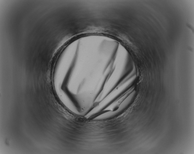 X0000098121216200804251444