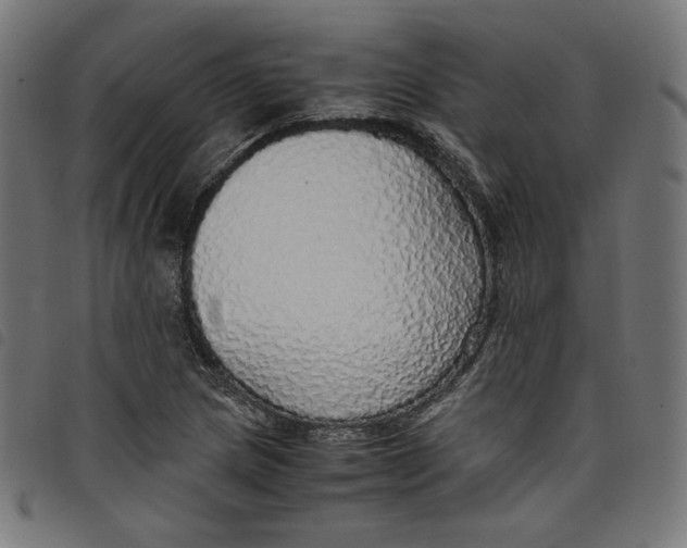X0000098121217200804251444