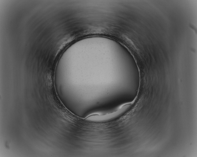 X0000098121218200804251444