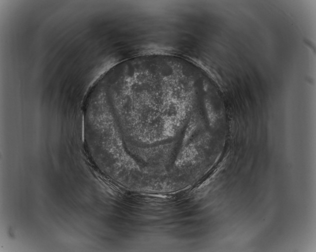 X0000098121219200804251444