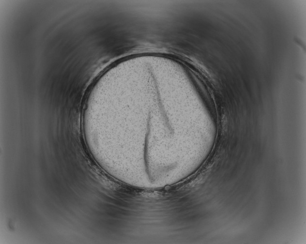 X0000098121220200804251444