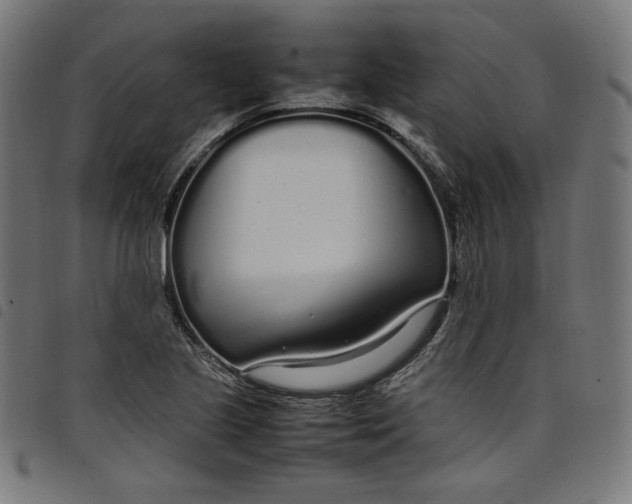 X0000098121221200804251444