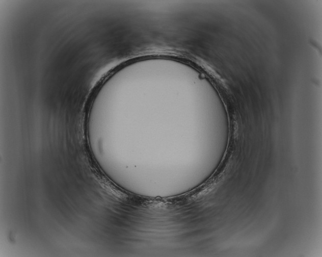 X0000098121222200804251444