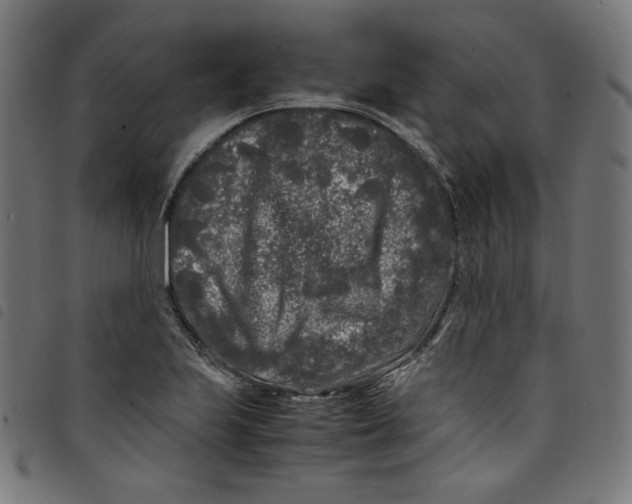 X0000098121223200804251444