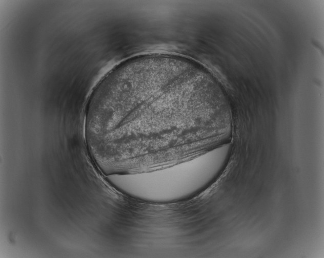 X0000098121224200804251444