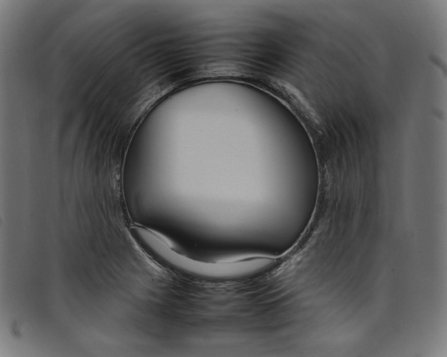 X0000098121225200804251444
