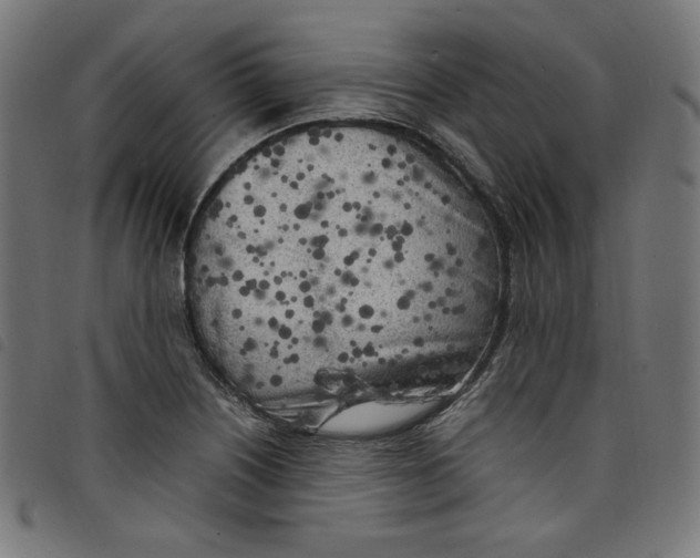 X0000098121226200804251444