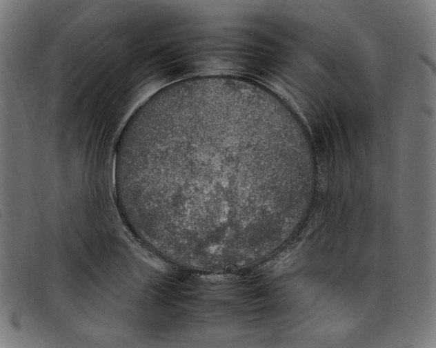 X0000098121227200804251444