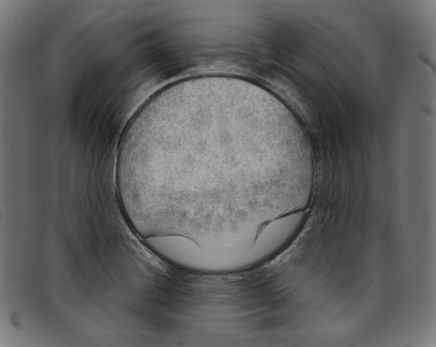 X0000098121228200804251444