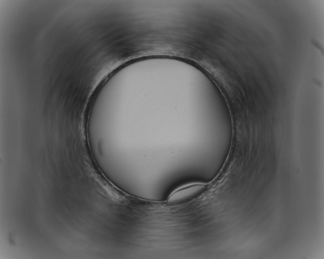X0000098121230200804251444