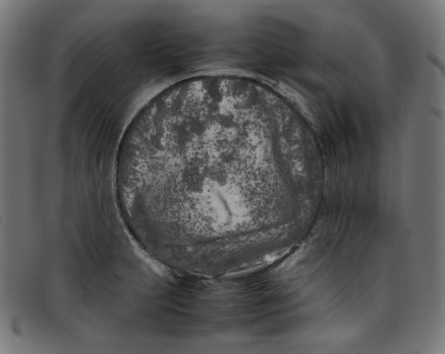 X0000098121231200804251444