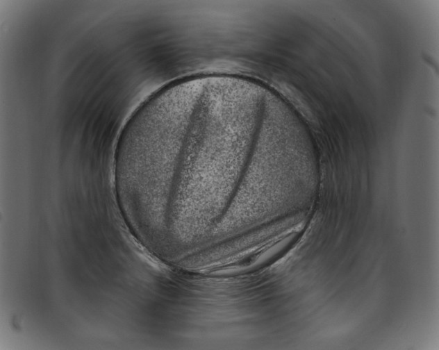 X0000098121232200804251444