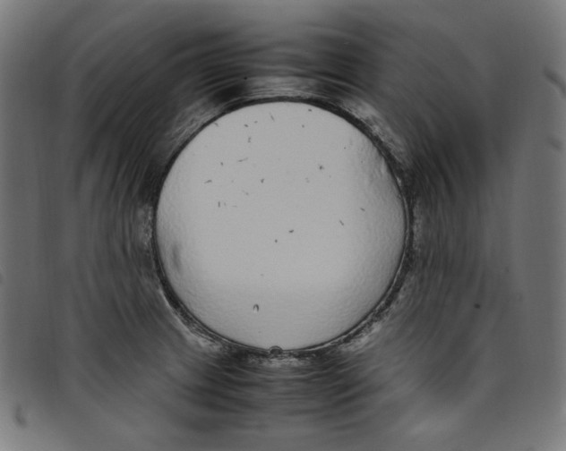 X0000098121233200804251444