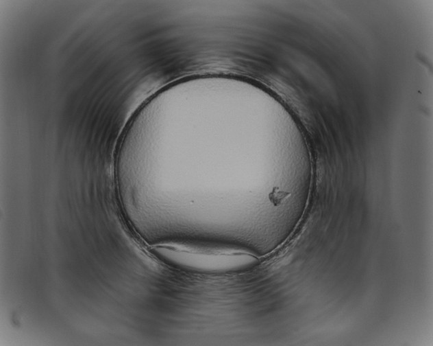 X0000098121234200804251444