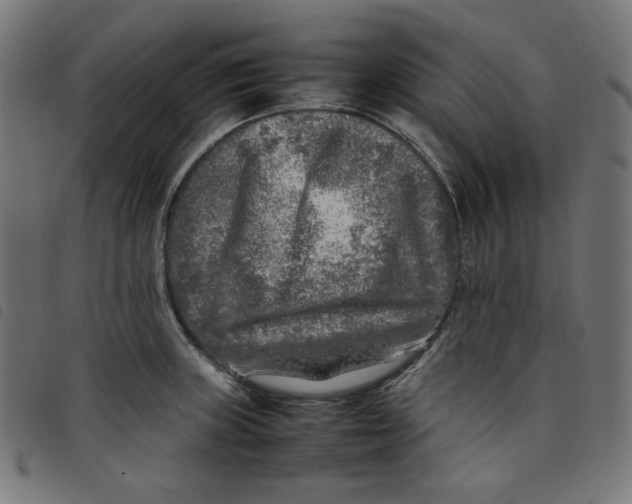X0000098121235200804251444