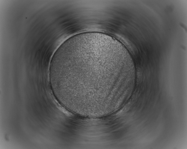 X0000098121236200804251444