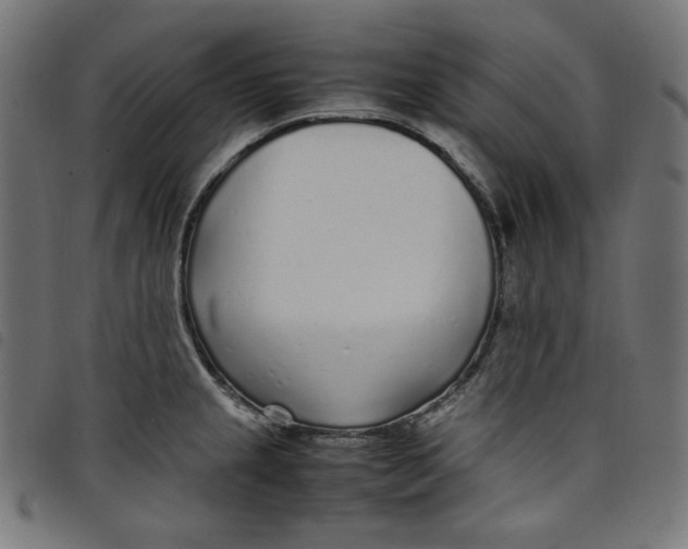 X0000098121237200804251444