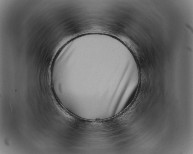 X0000098121238200804251444